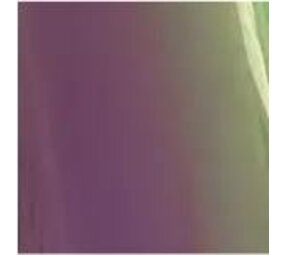 Chameleon flex Purple/Green Chameleon flex Purple/Green