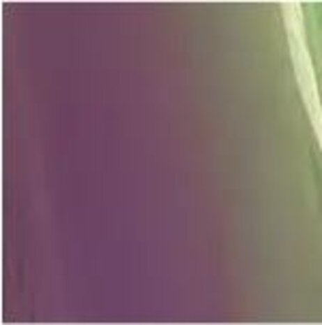Chameleon flex Purple/Green Chameleon flex Purple/Green