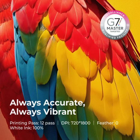 xTool DTF Printer FAQ en Specificaties