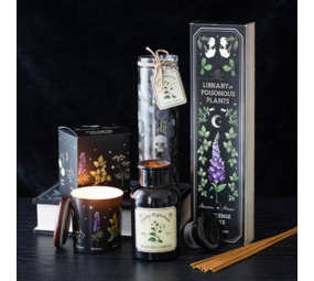 Dodelijke Nachtschade Gotische Apotheek Kaars Dodelijke Nachtschade Gotische Apotheek Kaars