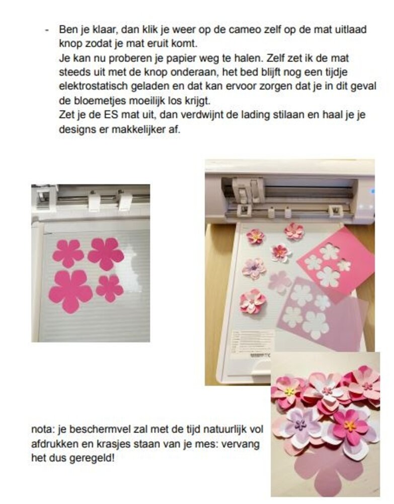 De elektrostatische mat voor de Cameo 5 (alpha)