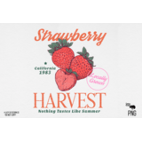 DTF - Strawberry Harvest DTF - Strawberry Harvest