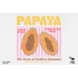 DTF - Papaya DTF - Papaya