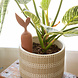 Kikkerland Terracotta Watering Stake Kikkerland Terracotta Watering Stake