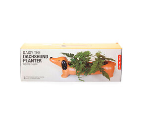 Kikkerland Daisy the Dachshund Planter Kikkerland Daisy the Dachshund Planter