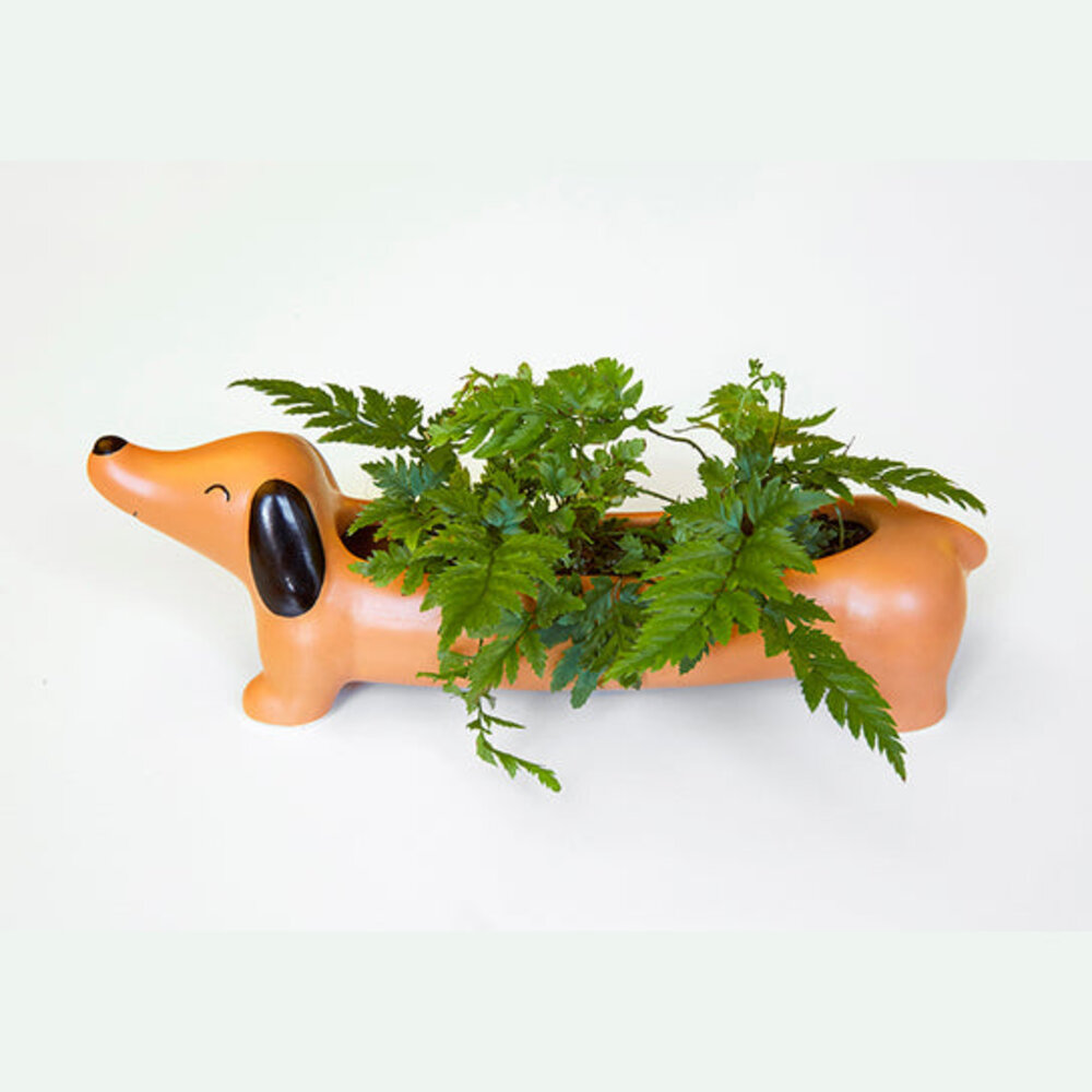 Kikkerland Daisy the Dachshund Planter Kikkerland Daisy the Dachshund Planter