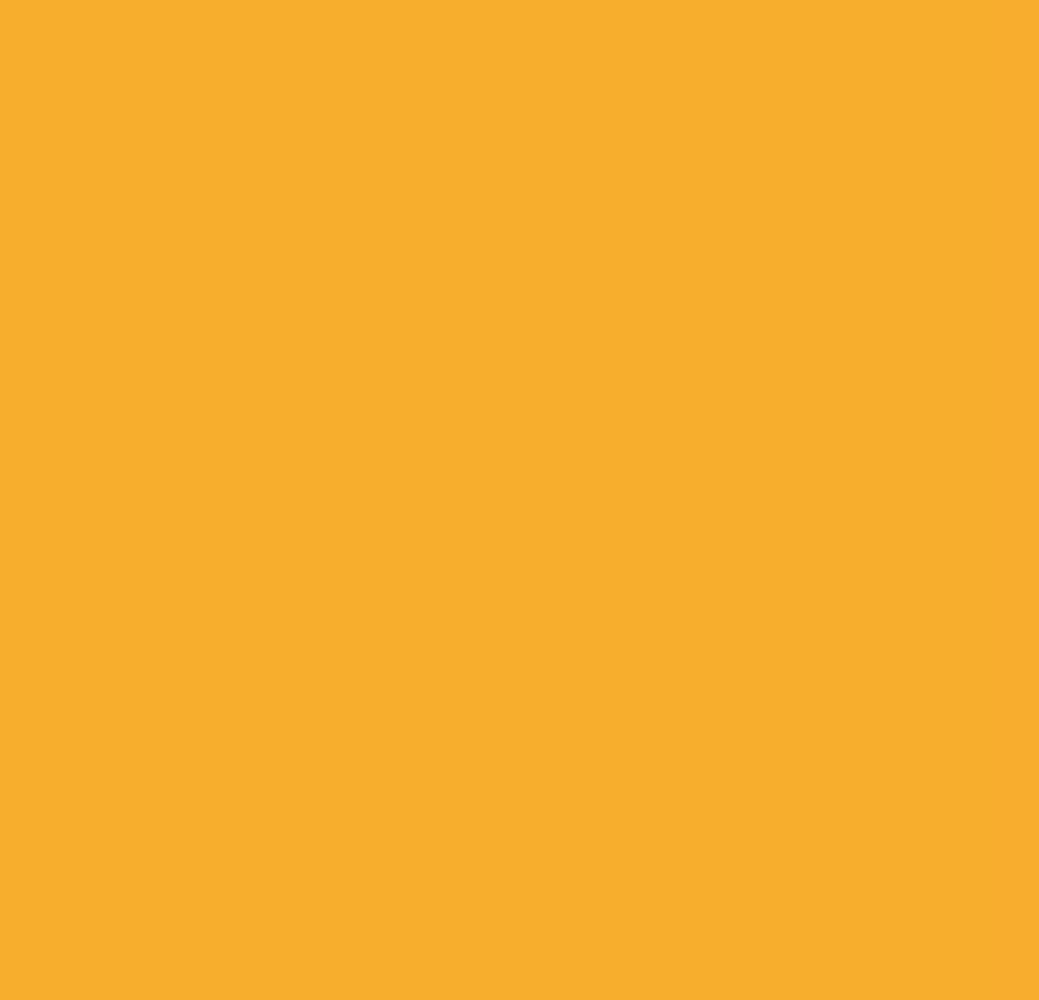 Flexfolie  EasyWeed ™ Sun Flexfolie  EasyWeed ™ Sun