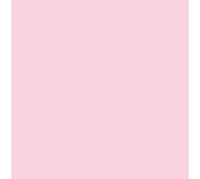 Flexfolie EasyWeed ™ Light Pink Flexfolie EasyWeed ™ Light Pink