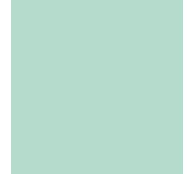 Flexfolie EasyWeed ™ Mint Flexfolie EasyWeed ™ Mint