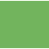 Flexfolie EasyWeed ™  Apple green Flexfolie EasyWeed ™  Apple green