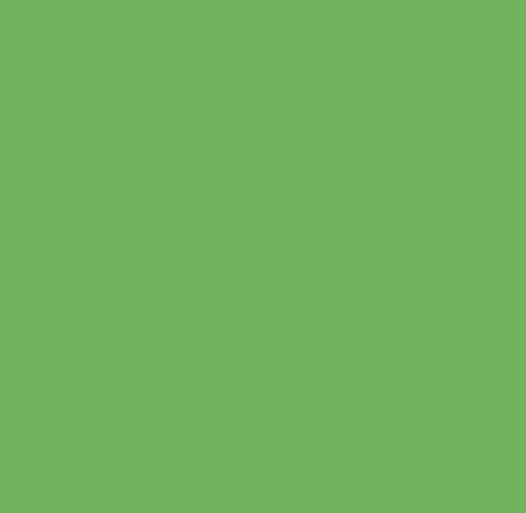 Flexfolie EasyWeed ™  Apple green Flexfolie EasyWeed ™  Apple green