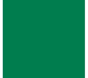 Flexfolie EasyWeed ™  Green Flexfolie EasyWeed ™  Green