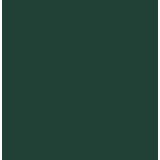 Flexfolie EasyWeed ™ Dark Green Flexfolie EasyWeed ™ Dark Green