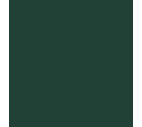 Flexfolie EasyWeed ™ Dark Green Flexfolie EasyWeed ™ Dark Green