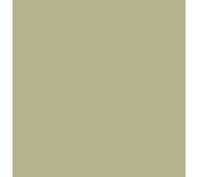 Flexfolie EasyWeed ™  Sand Flexfolie EasyWeed ™  Sand