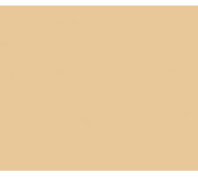 Vinyl Beige (Glans) Vinyl Beige (Glans)