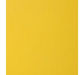 Vinyl Bright Yellow (Glans) Vinyl Bright Yellow (Glans)