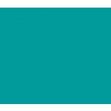 Vinyl Aqua Green (Glans)