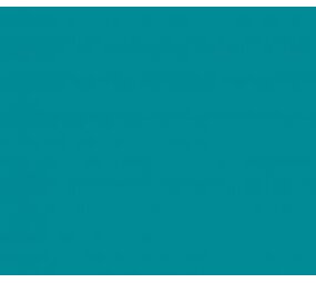 Vinyl Turquoise (Glans) Vinyl Turquoise (Glans)