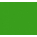 Vinyl Grass Green (Glans)