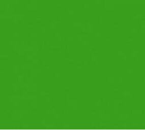 Vinyl Grass Green (Glans) Vinyl Grass Green (Glans)