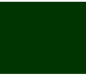 Vinyl Racing Green (Glans) Vinyl Racing Green (Glans)