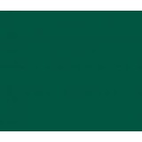 Vinyl Forest Green (Glans)