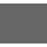 Vinyl Charcoal (Glans)