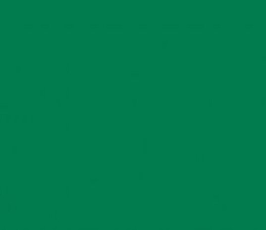Vinyl Medium Green (Mat)