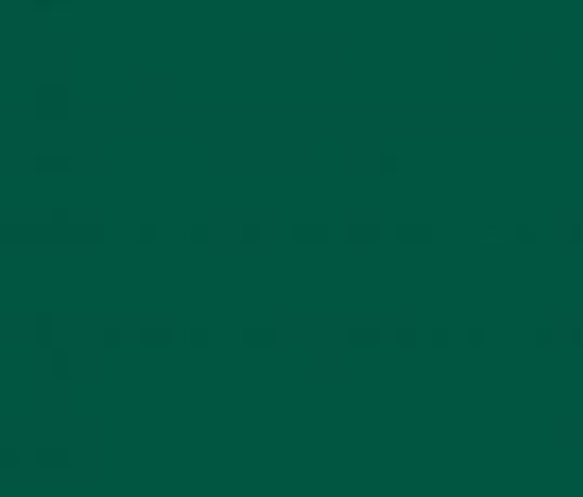 Vinyl Forest Green (Mat) Vinyl Forest Green (Mat)