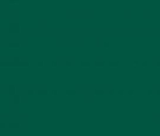 Vinyl Forest Green (Mat) Vinyl Forest Green (Mat)