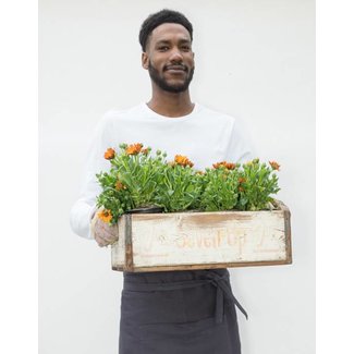 Kurze Catering-Schürze – Canvas – Anthrazit - GOTS