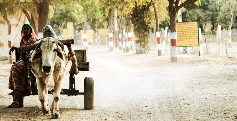 India: land van contrasten