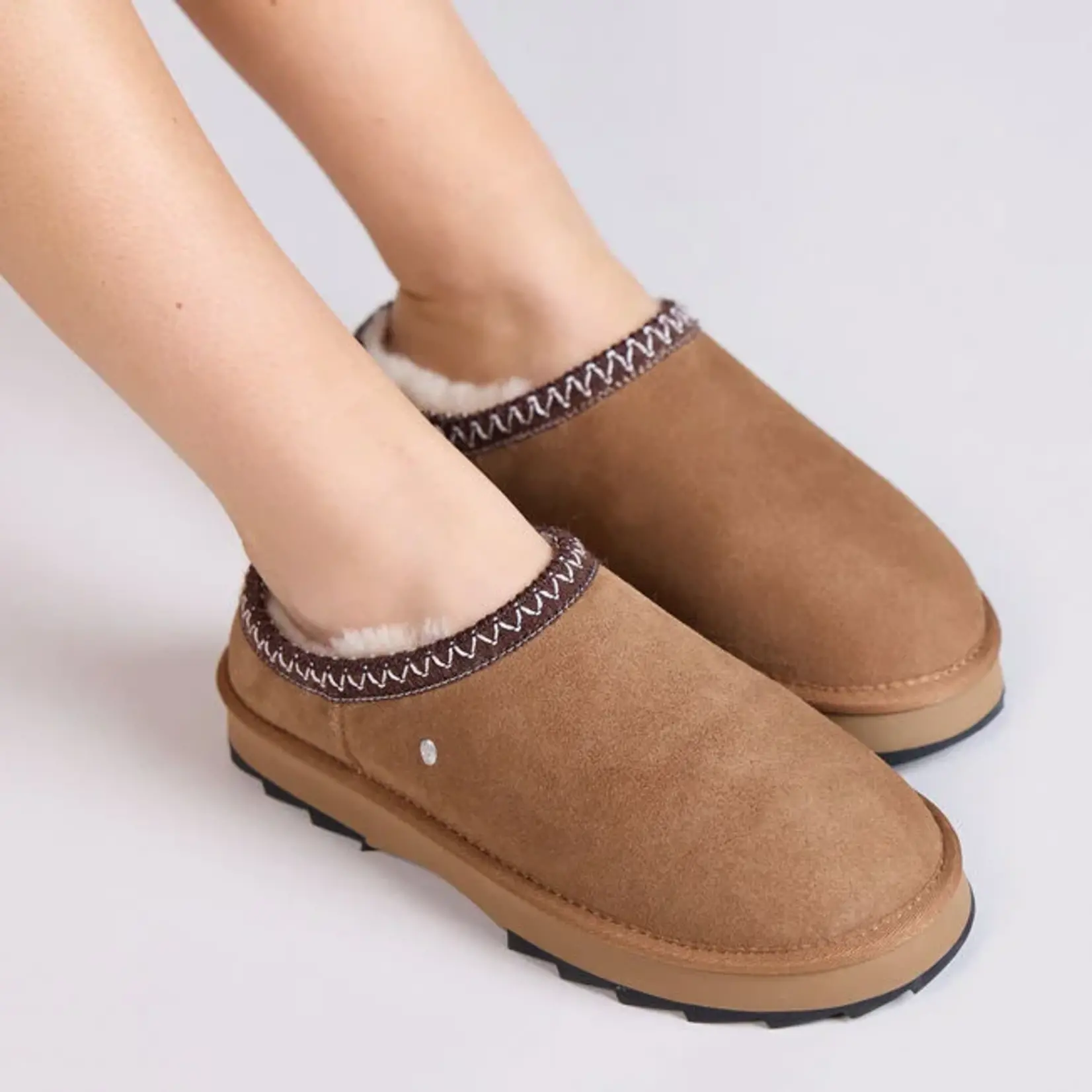 SHARKY SCUFF Chestnut