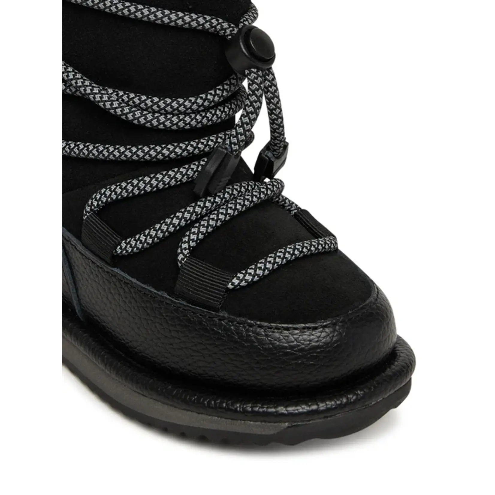 BLACKBURN Black