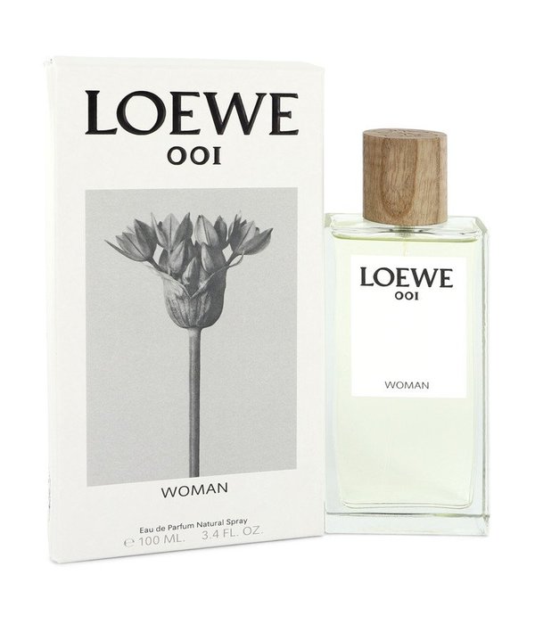 loewe 100