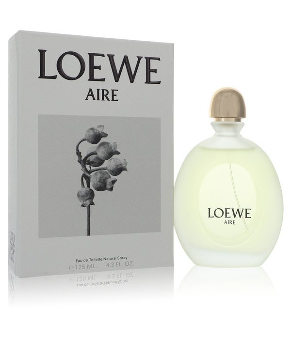 loewe aire loewe