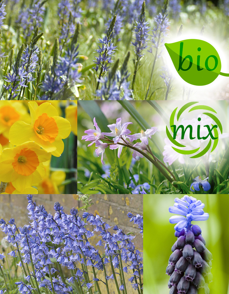 Mix  Mix: Volop lente: nectar voor de bij - BIO