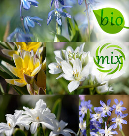 Mix  Mix: Vroege Nectar voor de Bij - BIO