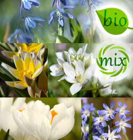 Mix  Mix: Vroege Nectar voor de Bij - BIO