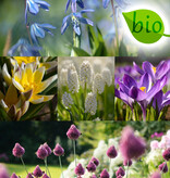 Mix  250 Biologische bollen pakket