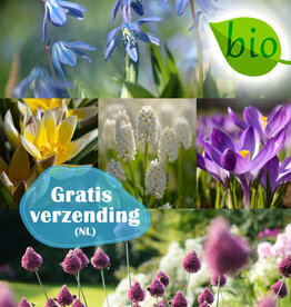 Mix  250 Biologische bollen pakket