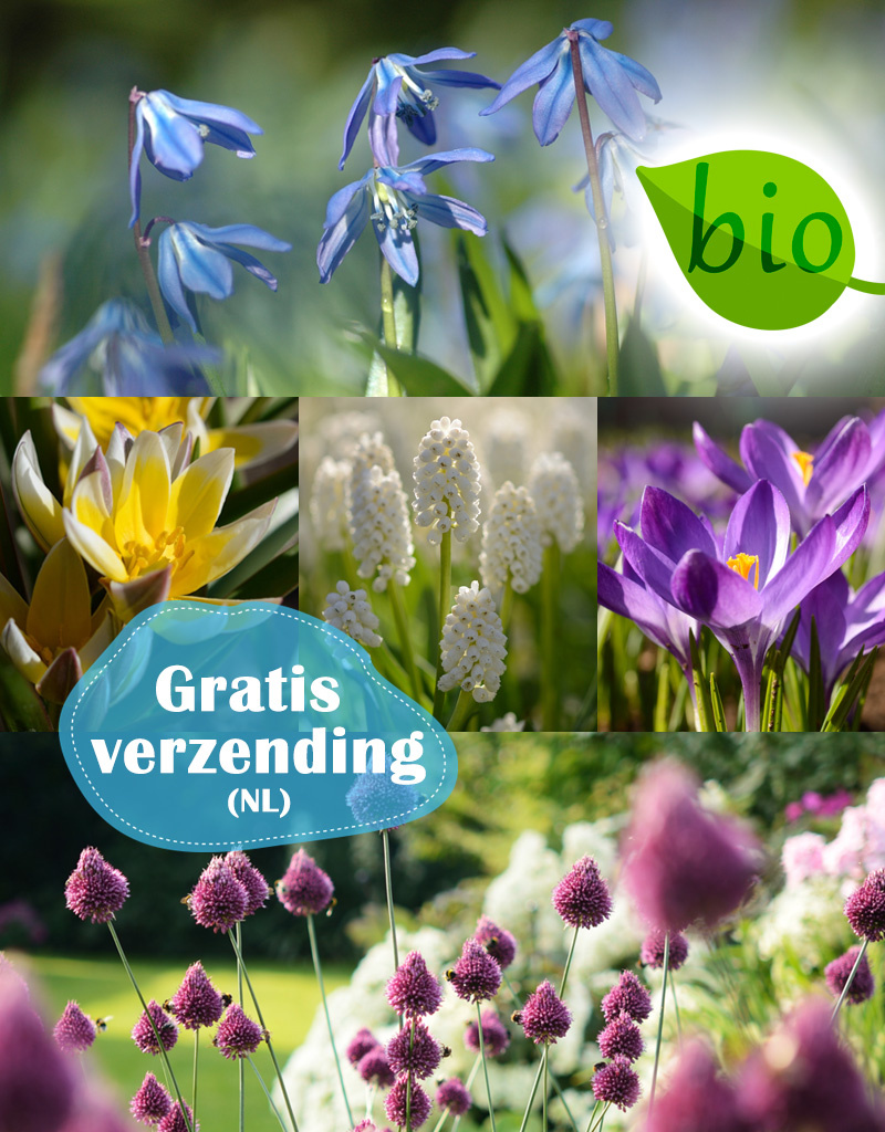 Mix  250 Biologische bollen pakket