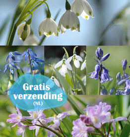 Mix  500 Verwilderingsbollen pakket