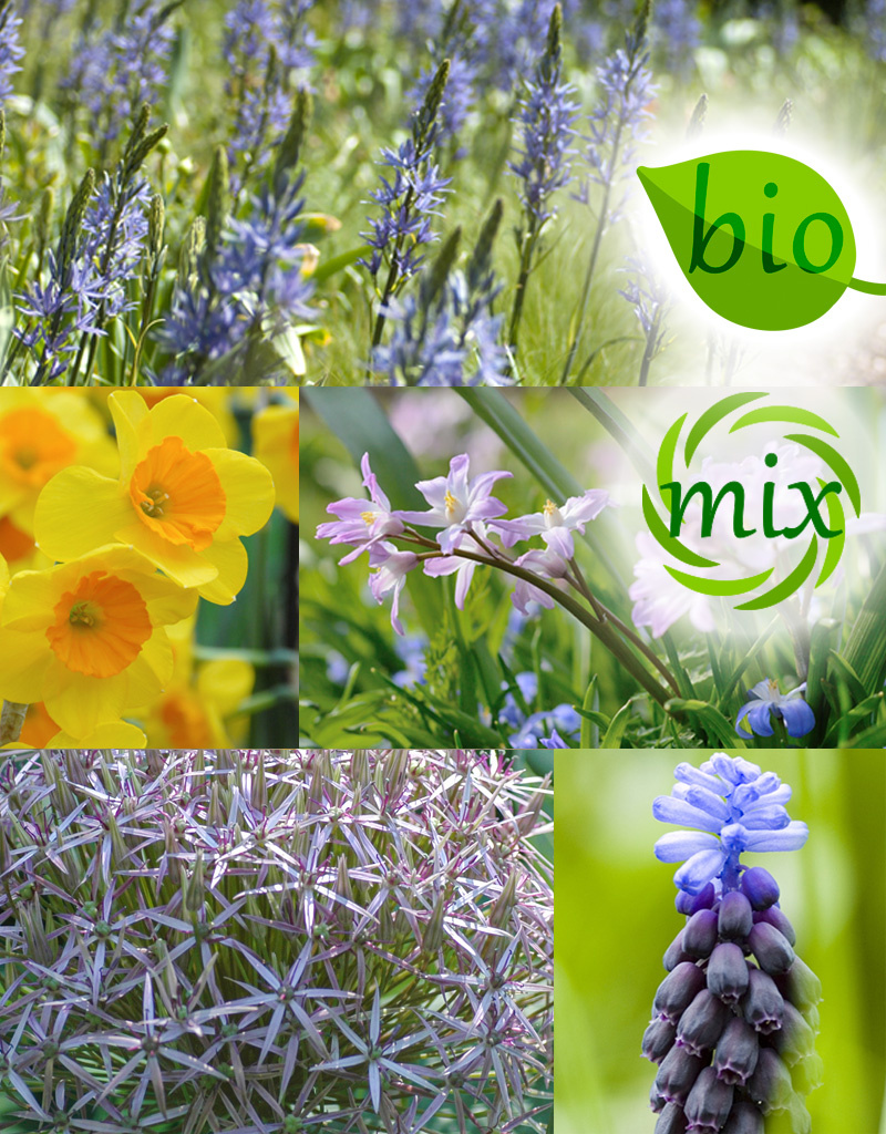 Mix  Mix: Volop lente: nectar voor de bij - BIO