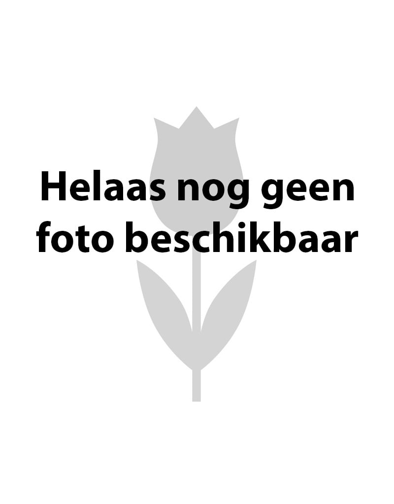 Mix  Mix: Biologische bloembollen voor in potten