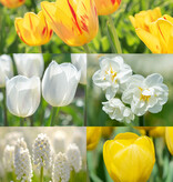 Mix  Mix: Lentekriebels - BIO