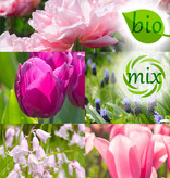 Mix  Mix: Voorjaarssonate - BIO