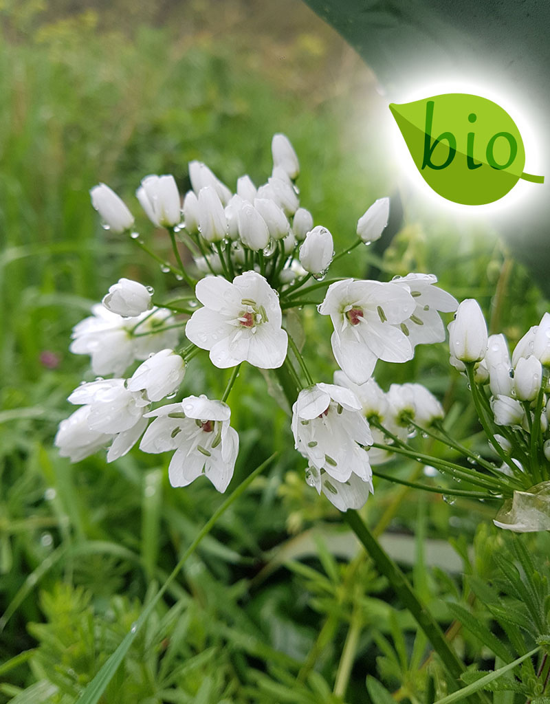 Mix  Mix: April Love - BIO