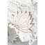 ibzmode living Wandhanger Lotus Rose